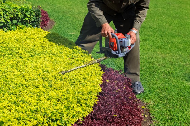 Shrubs Maintenance
