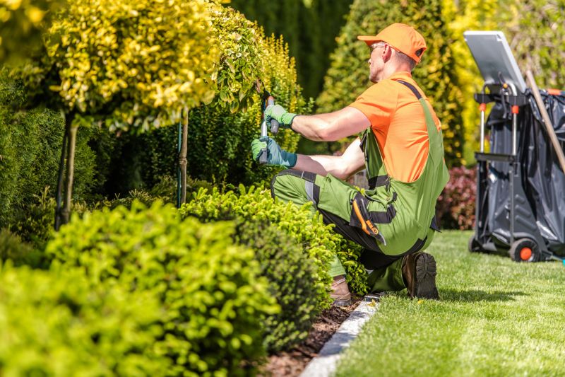 Shrubs Maintenance