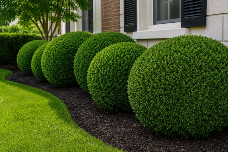 Bush Pruning in Rockwall, TX