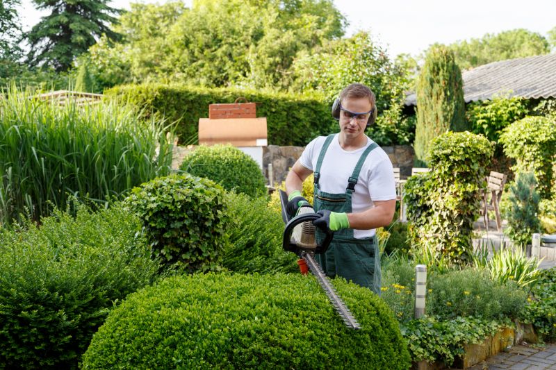 Evergreen Hedge Trimming in Aiken, SC