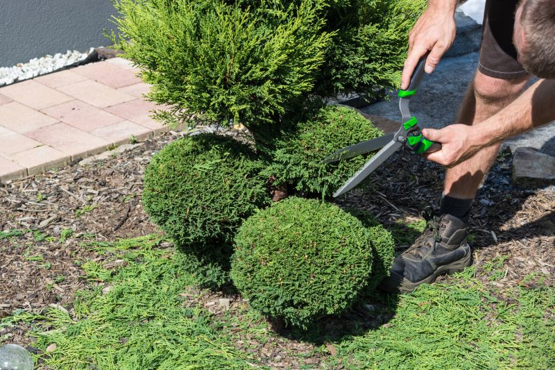 Shrubs Maintenance detail