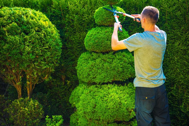 Shrub Trimming in Ventura County, CA