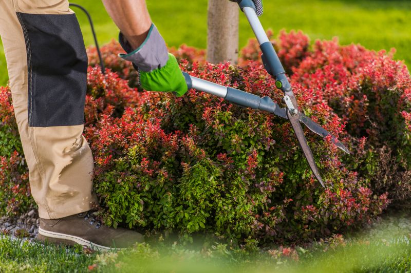 Shrubs Maintenance